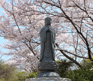合同供養塔