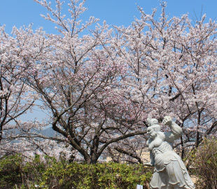 合同供養塔